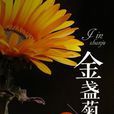 金盞菊(風起中文網小說)