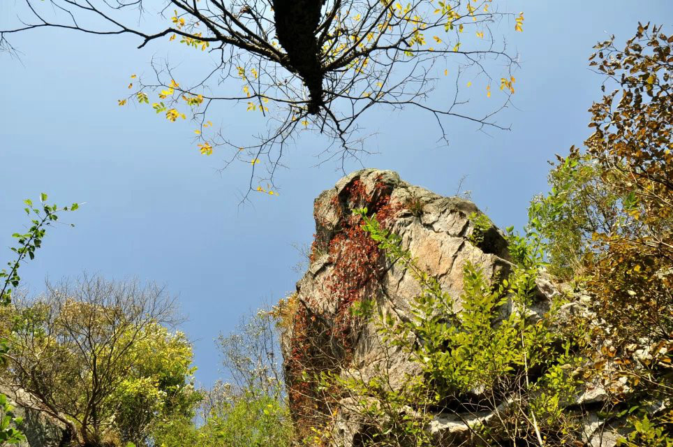 東葛山