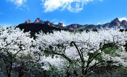 千山風景區