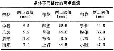 身體不同部位的兩點閥值