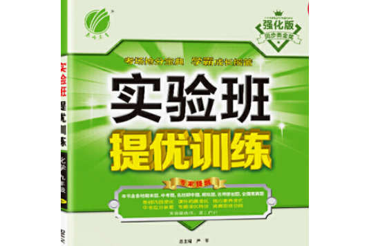 實驗班(2008年中國少年兒童出版社出版的圖書)