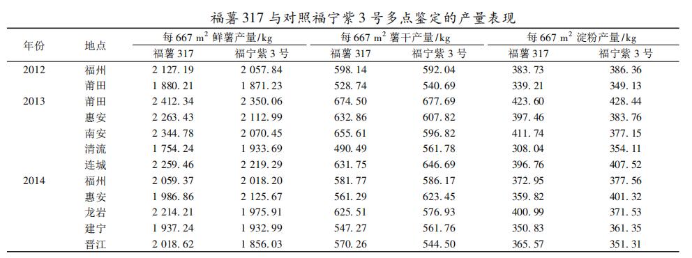 福薯317