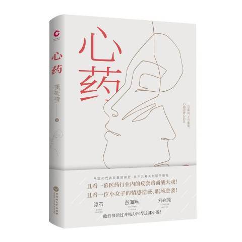 心藥(2019年百花洲文藝出版社出版的圖書)