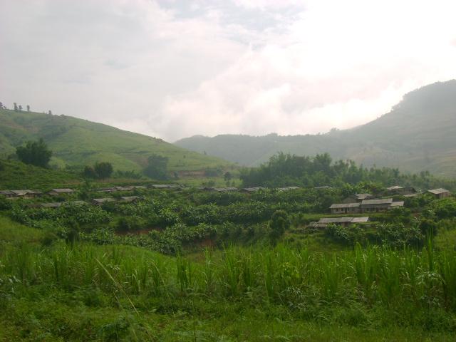 大新田自然村(臨滄市鎮康縣南傘鎮麻栗坪村委會下轄村)