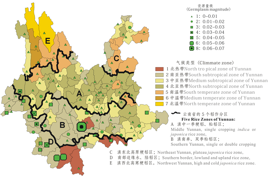 雲南稻種資源分布示意圖