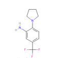 N-（2-氨基-4-三氟甲苯基）吡咯烷