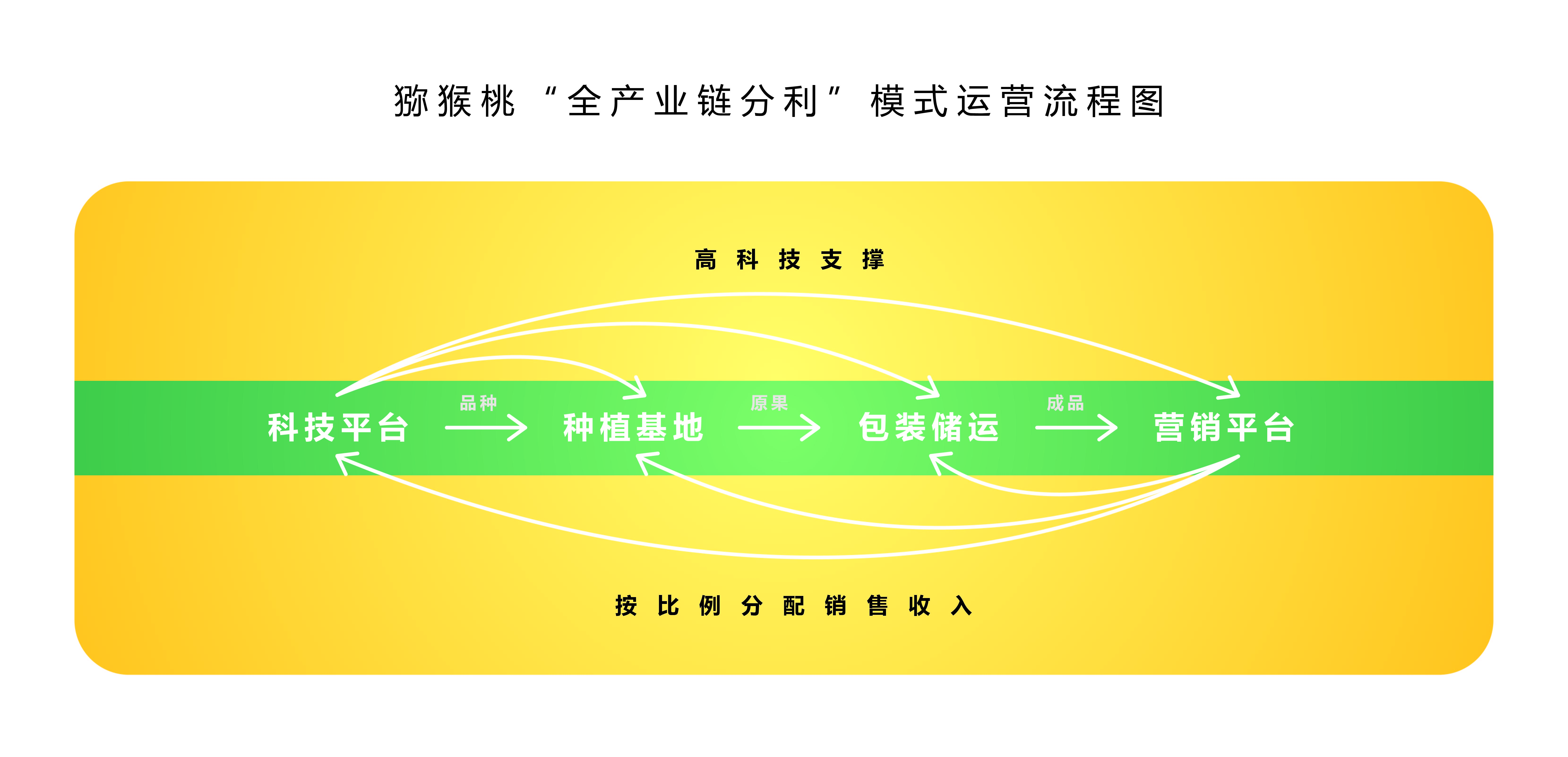 貴州省果蔬行業協會獼猴桃分會