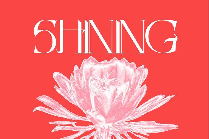 Shining(薛凱琪2021年8月5日發布歌曲)