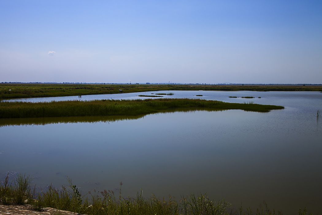 小白河濕地