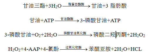 甘油三酯檢測試劑盒