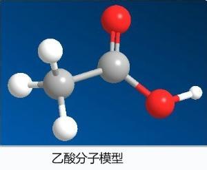 乙酸分子模型