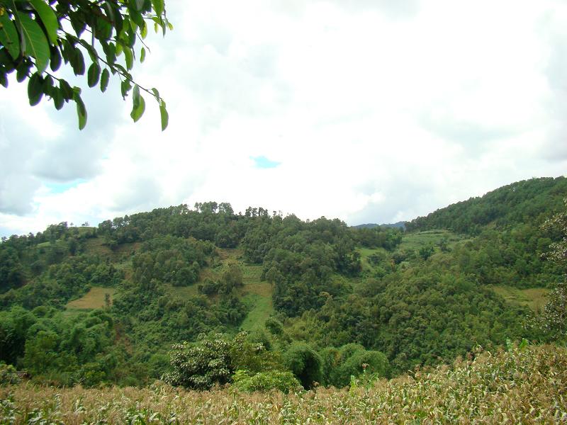 馬家田自然村(雲南省昆明市烏龍鎮馬家田自然村)