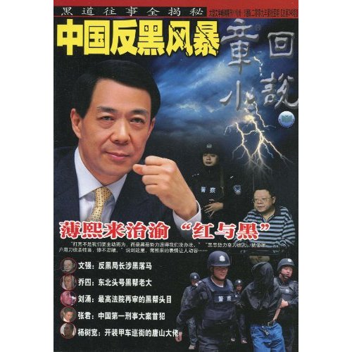 章回小說：中國反黑風暴