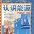 WIND風能