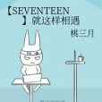 【SEVENTEEN】就這樣相遇