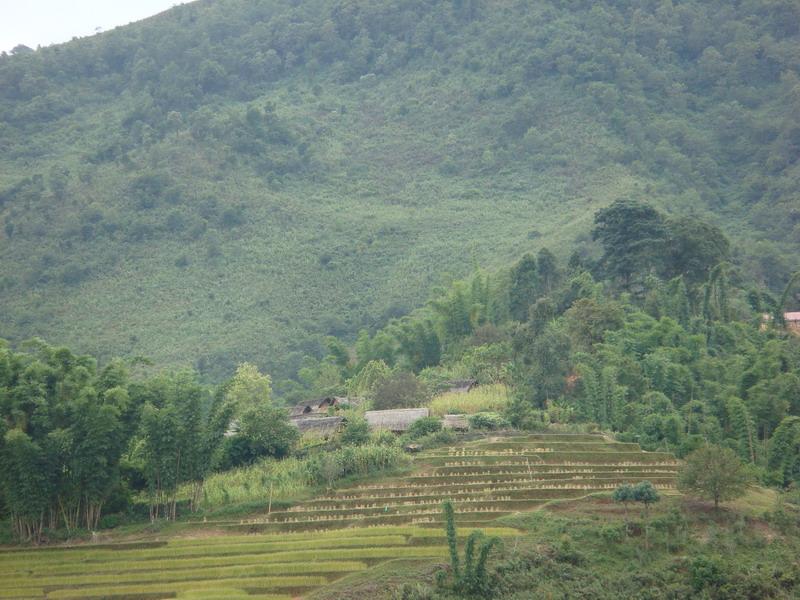 山心村(雲南省瀾滄拉祜族自治縣謙六彝族鄉山心村)