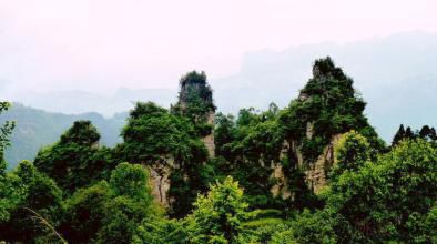 羊頭山風景