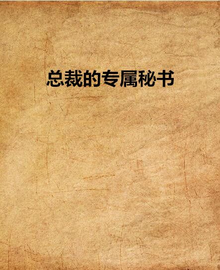 總裁的專屬秘書