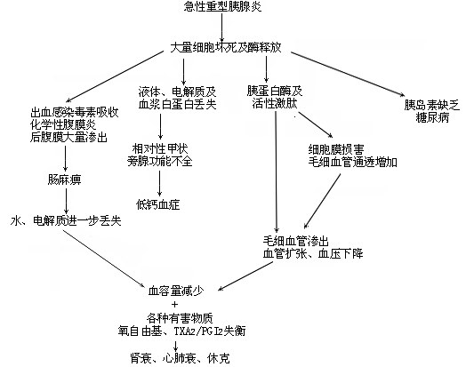 尿澱粉酶