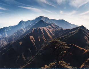 高黎貢山國家級自然保護區