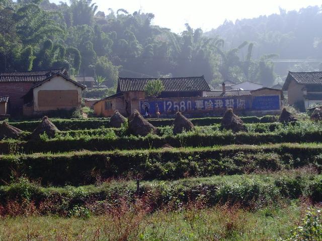 街道自然村