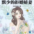 天價為聘：默少的拒婚嬌妻