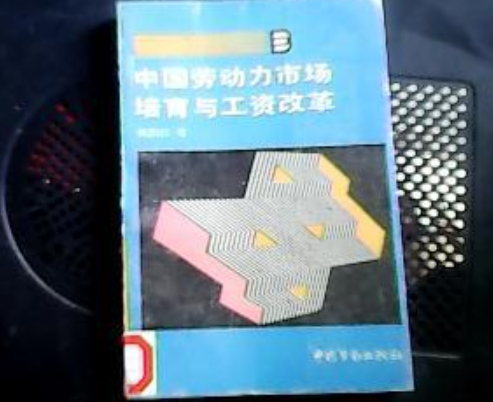 中國勞動力市場培育與工資改革