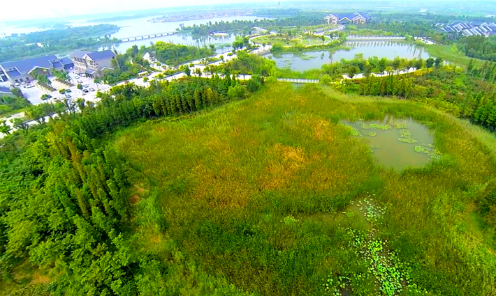 潘安湖國家濕地公園