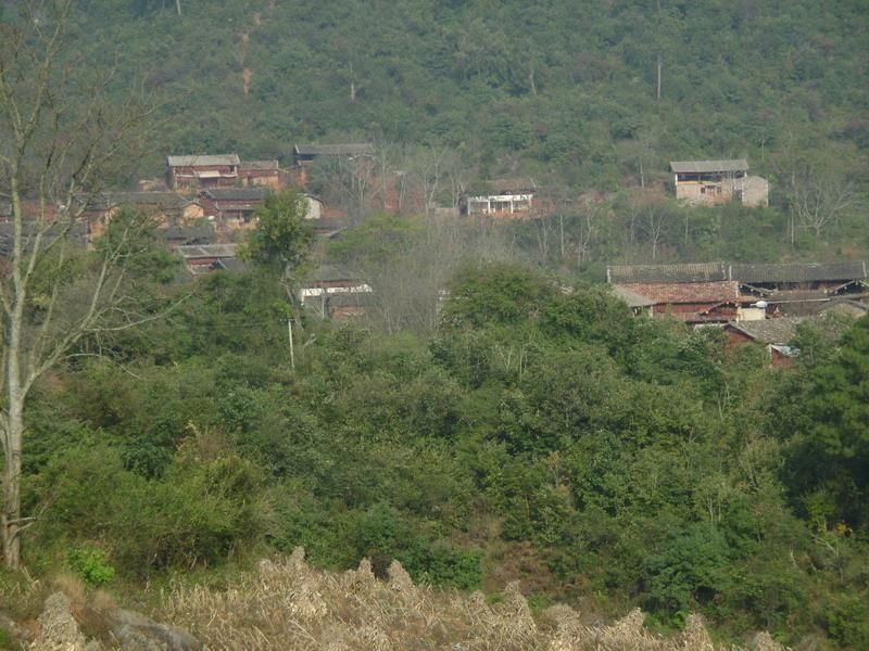 核桃村(雲南省大理市洱源縣西山鄉核桃村)