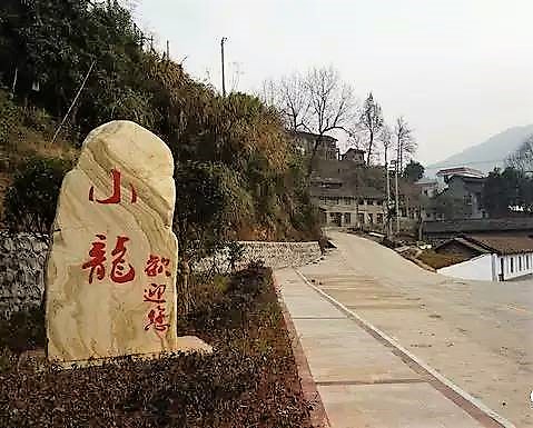 小龍鎮(江西省吉安市泰和縣下轄鎮)