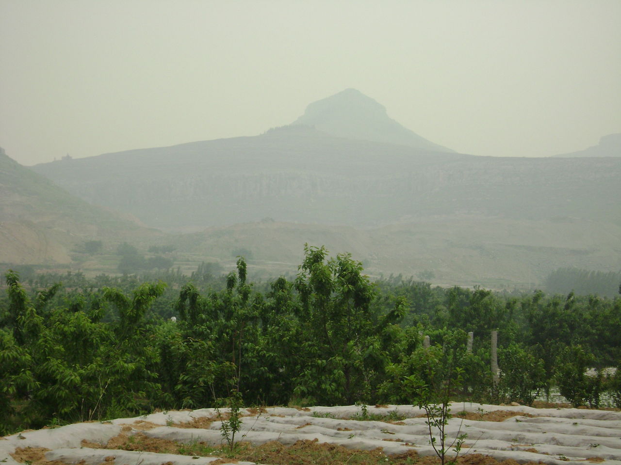 百步嶺村