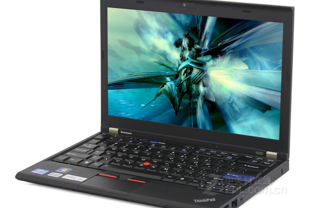 ThinkPad X220(4290F61)