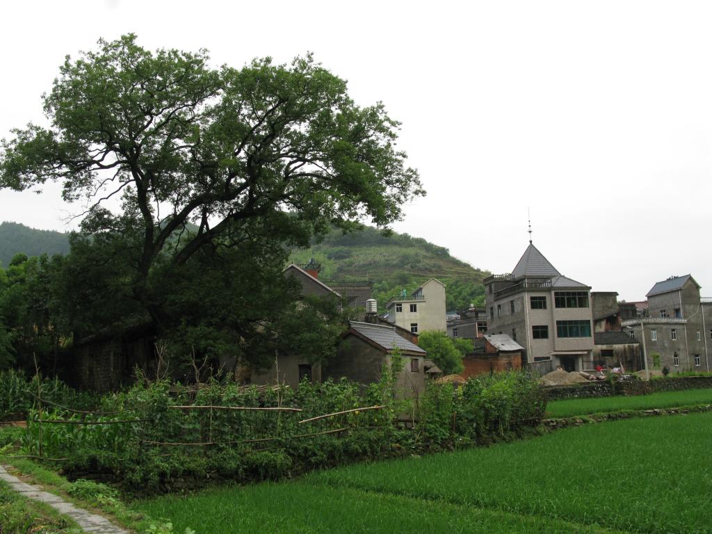 礦山村(吉林集安市清河鎮下轄村)