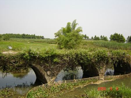 覃村石拱橋