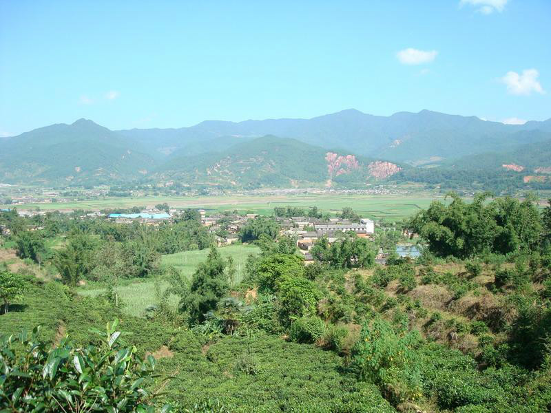 大營自然村(雲南呈貢縣馬金鋪鄉下轄村)