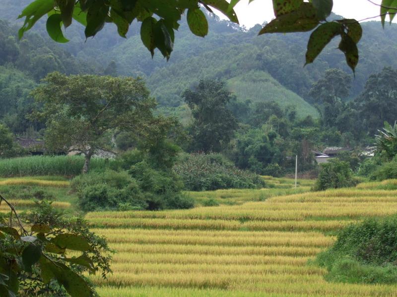 石嶺卡自然村