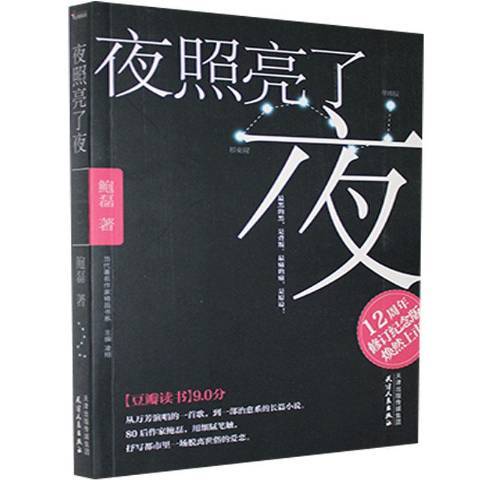 夜照亮了夜(2020年天津人民出版社出版的圖書)