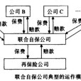 聯合自保公司