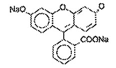 螢光素鈉注射液