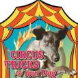 Circus Tricks for Your Dog