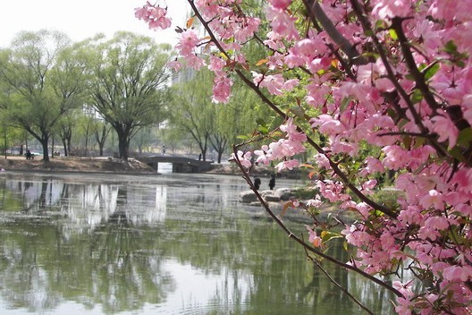 桃花村景區