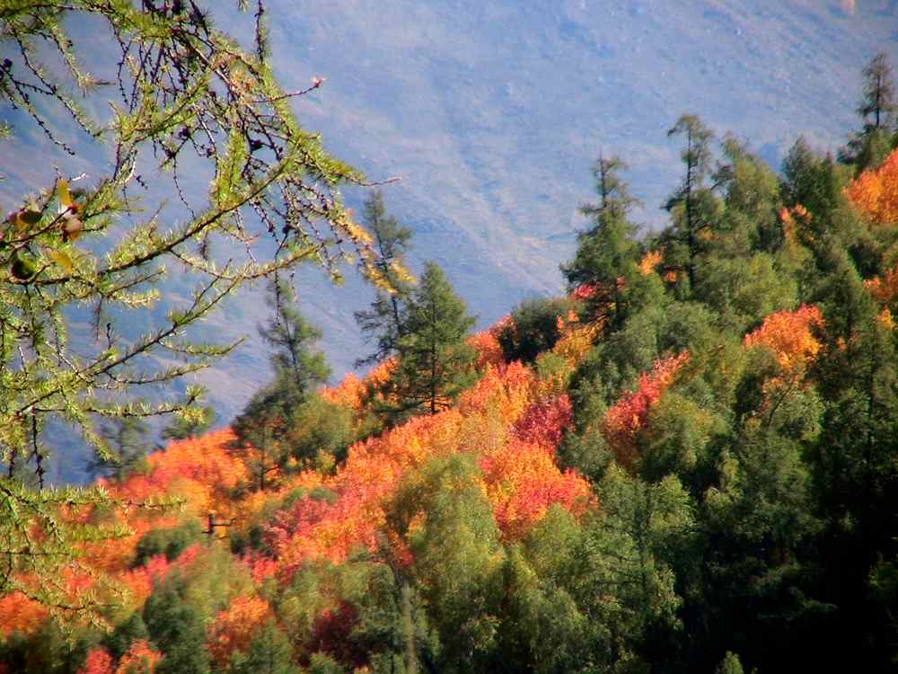 哈薩克斯坦—天山造山系