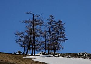 臨北鄉小道