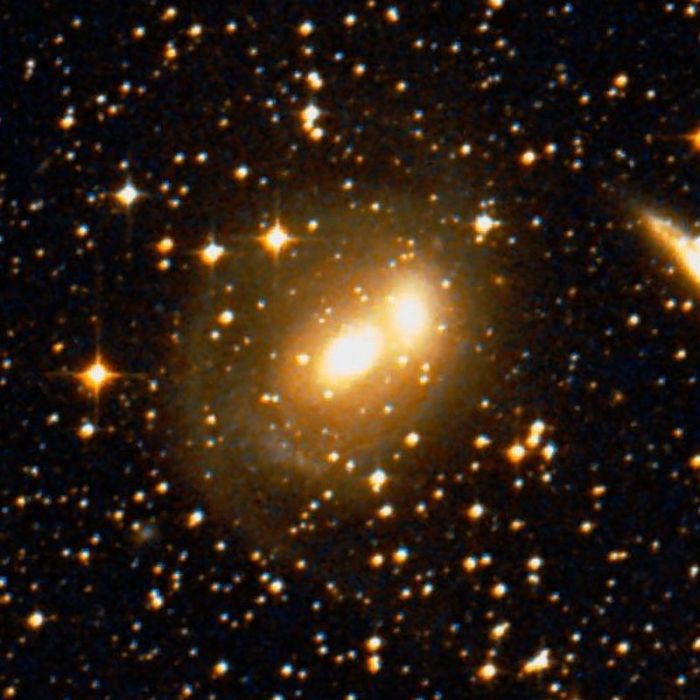 NGC 2291