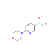 6-（4-嗎啉基）-3-吡啶硼酸