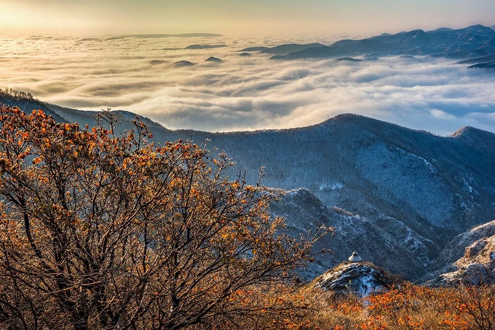 大鴻寨風景區(大鴻寨景區)