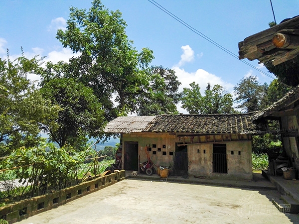 銅鑼村(江西尋烏菖蒲鄉下轄村)