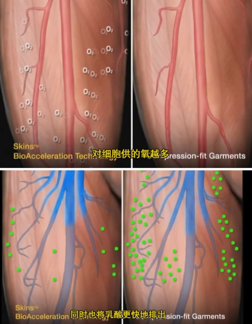 SKINS（思金斯）梯度壓縮功能裝備