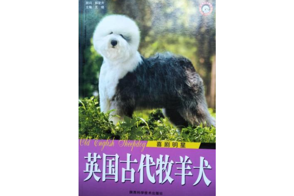 英國古代牧羊犬(2008年陝西科學技術出版社出版的圖書)