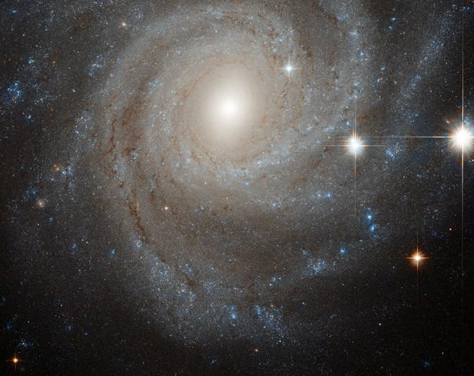 NGC3344